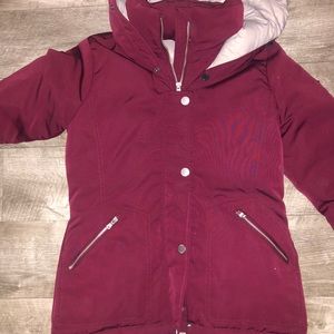 Brand new Hollister puffy jacket